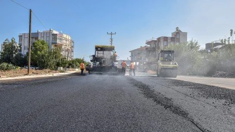 1000006273