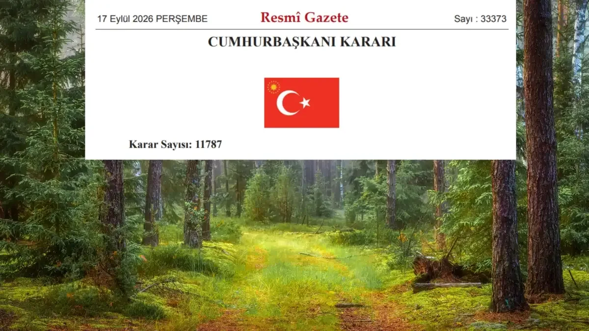 27 ilde bazı alanlar orman sınırı dışına çıkarıldı