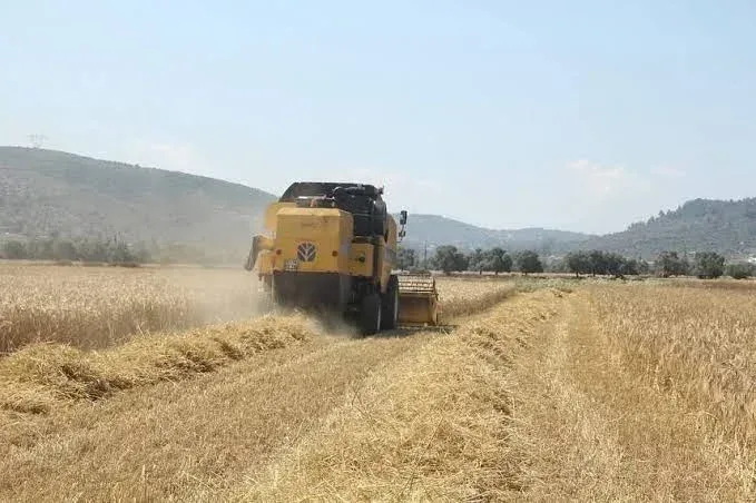 Pancar üreticilerine 952 milyon liralık avans ödemesi