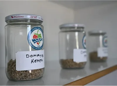 Ata Tohum projesi, katlanarak yürüyor