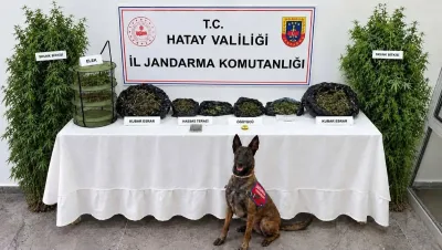 Hatay’da uyuşturucu operasyonu: Esrar ve Skunk ele geçirildi