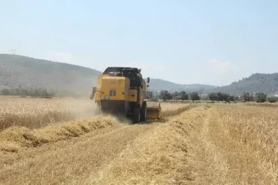 Pancar üreticilerine 952 milyon liralık avans ödemesi